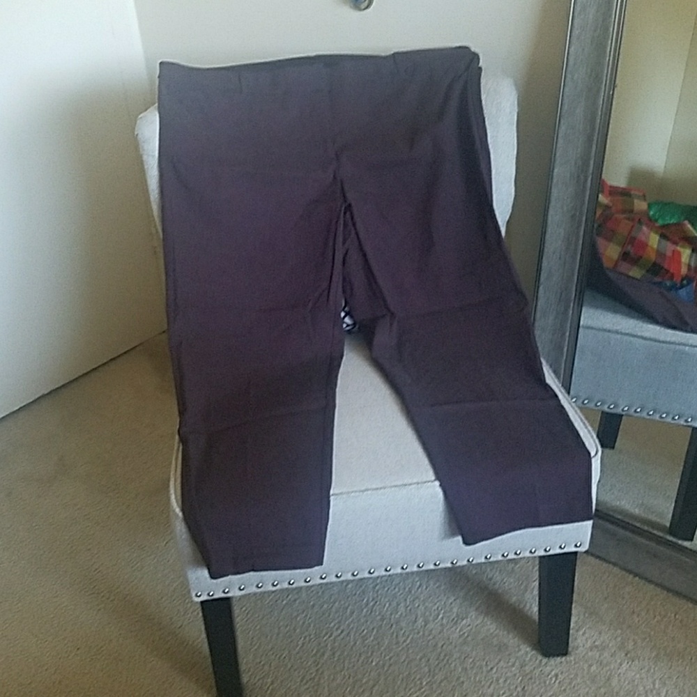 Burgundy Lane Bryant Ankle pants